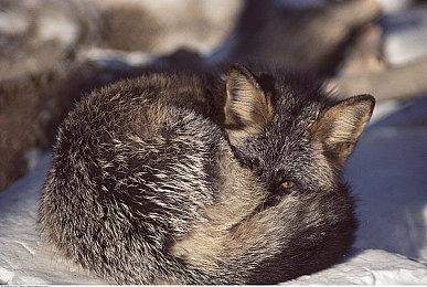 B社：《星空》开发有了很大进展 很想在2022年分享更多消息