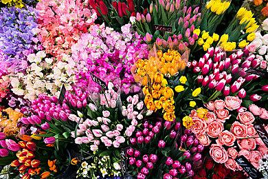 《银河破裂者》新DLC“深入黑暗”发售 本体免费更新同步上线